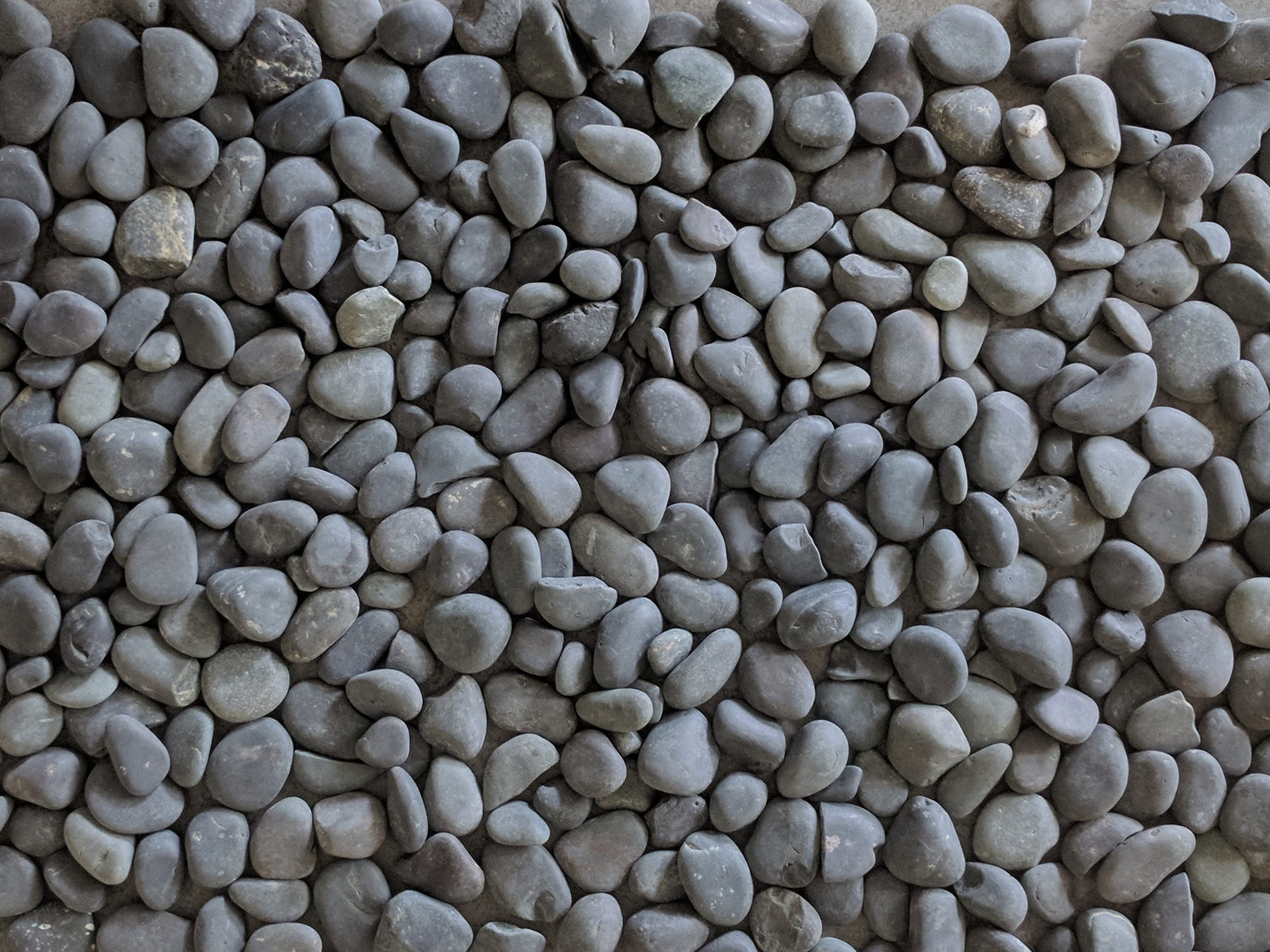 Black Tumbled Landscape Pebble | Mattison Stone & Tile